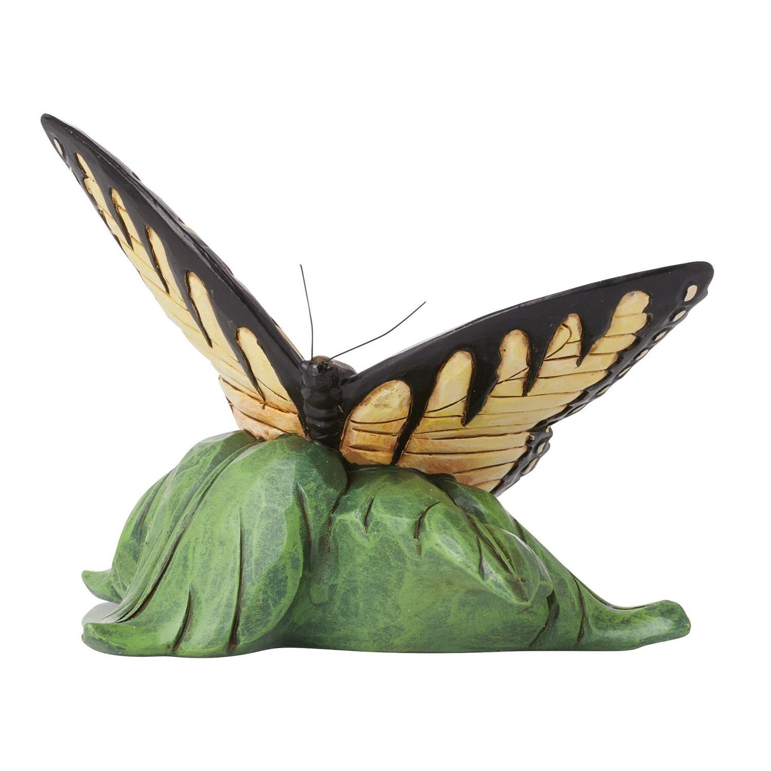 Swallowtail Butterfly 6014426