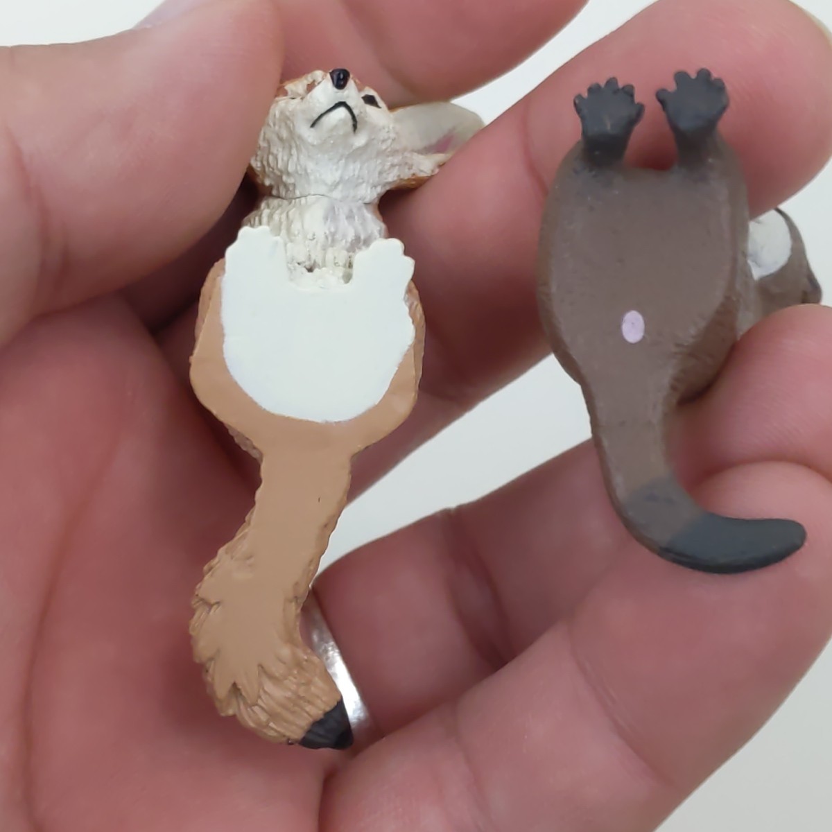 Let’s Sleep Together Animal Figures Set Cat Dog Otter Fennec Fox Collectible Toy