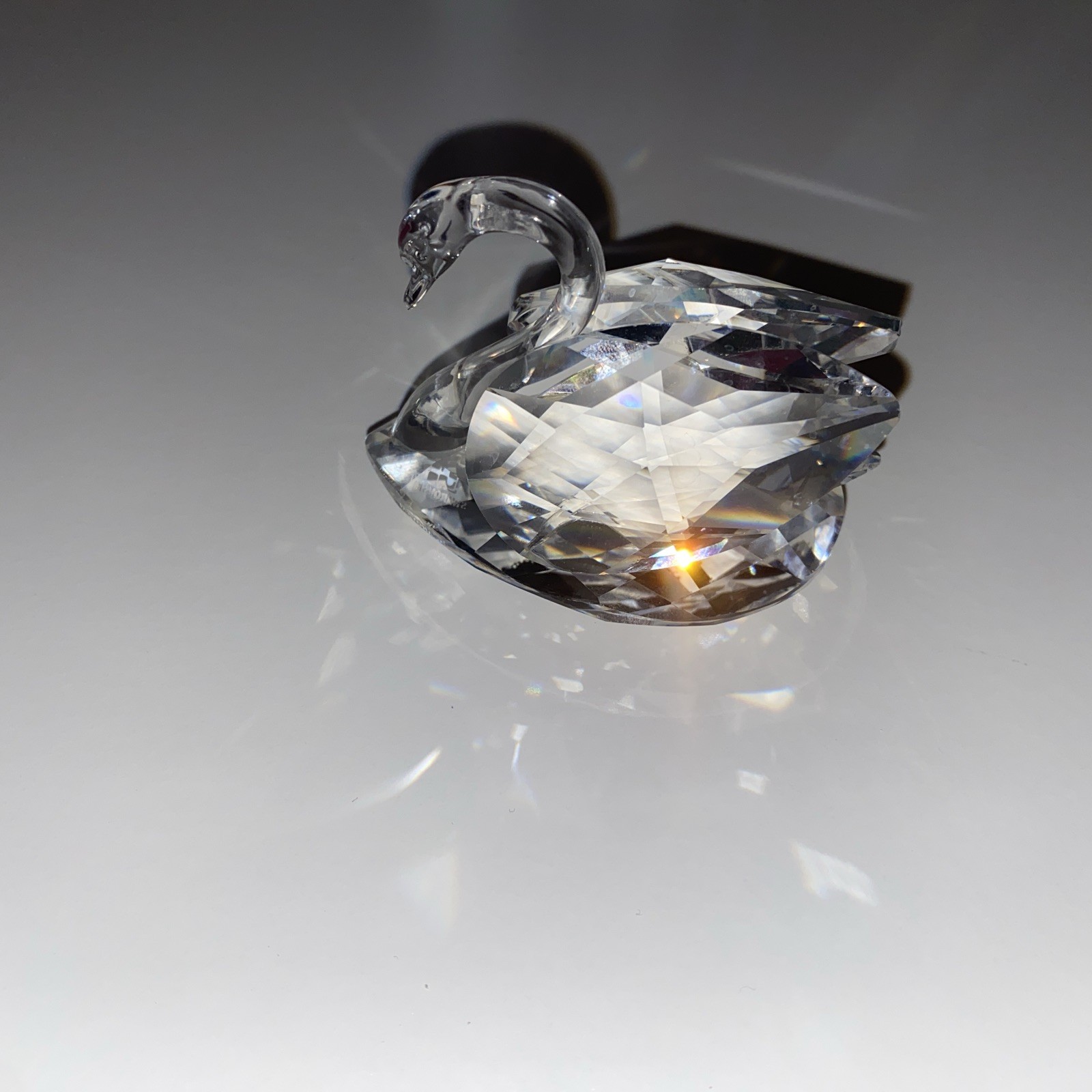 Swarovski Swan Beauties of the Lake Retired