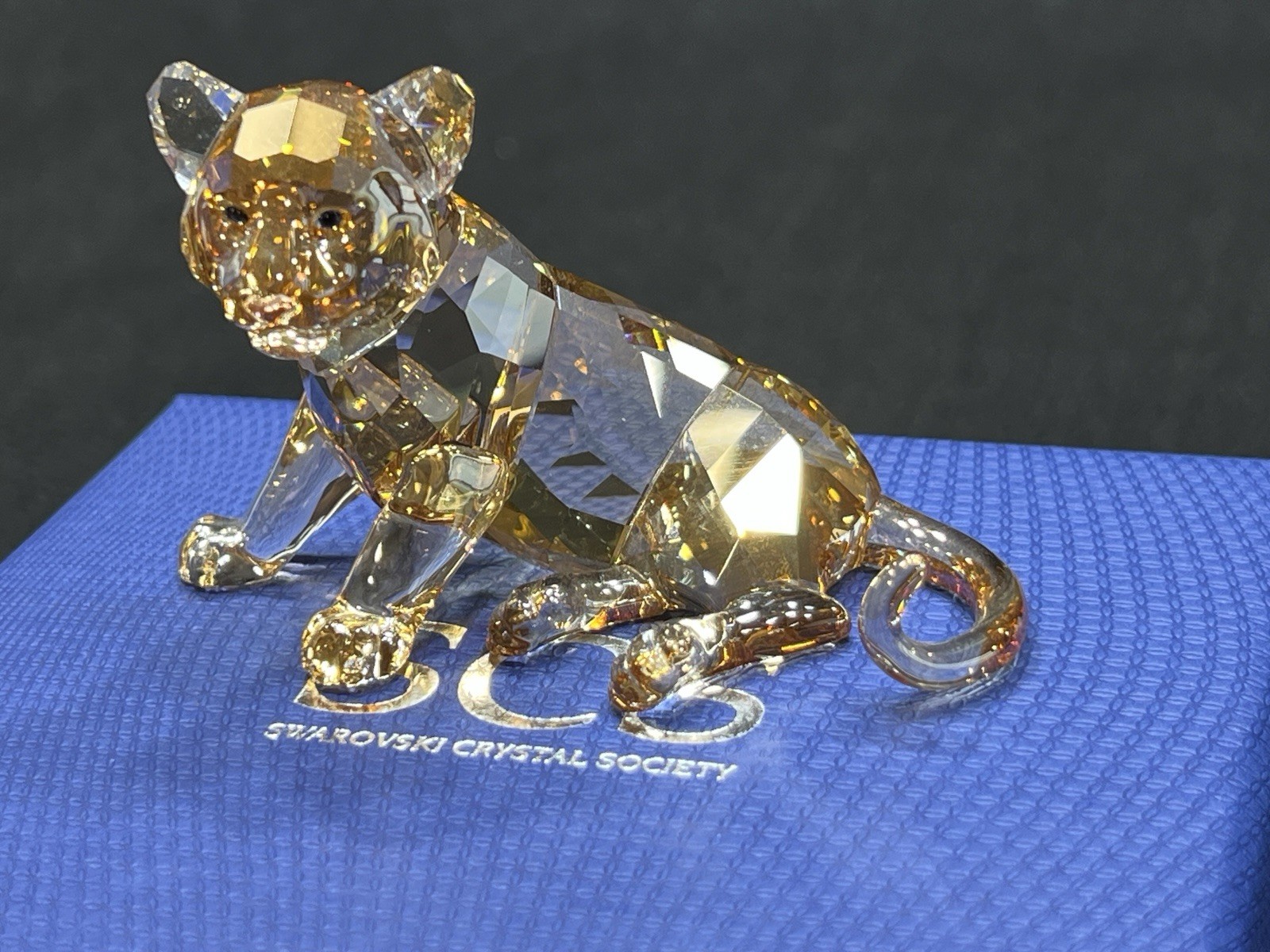 2016 Swarovski Crystal SCS Lion Cub Annual Member Exclusive #5135896 Retired MIB