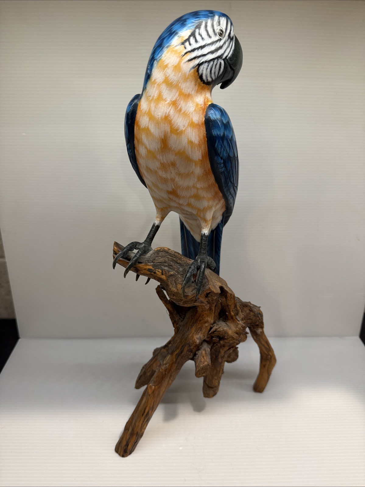 Vintage Hand Carved & Painted Wooden Blue White Orange Mccaw On A Branch