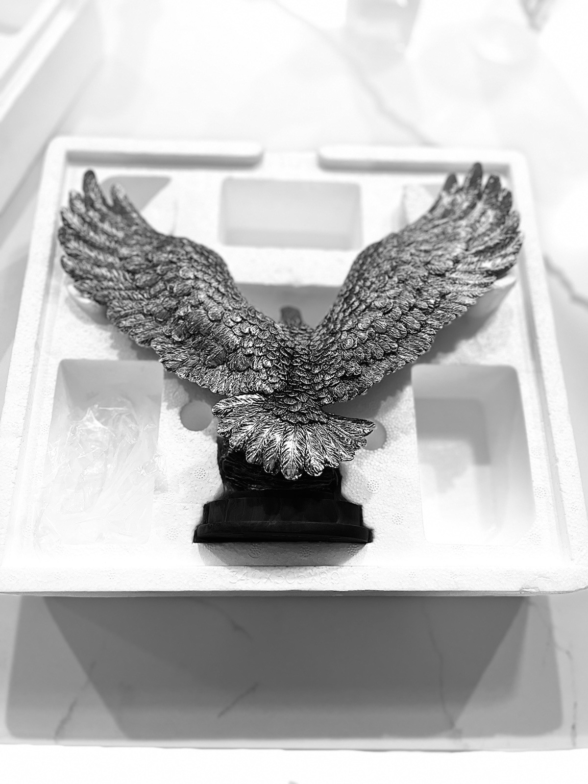 American Eagle In Original Packaging. Beautiful Display Of Patriotism