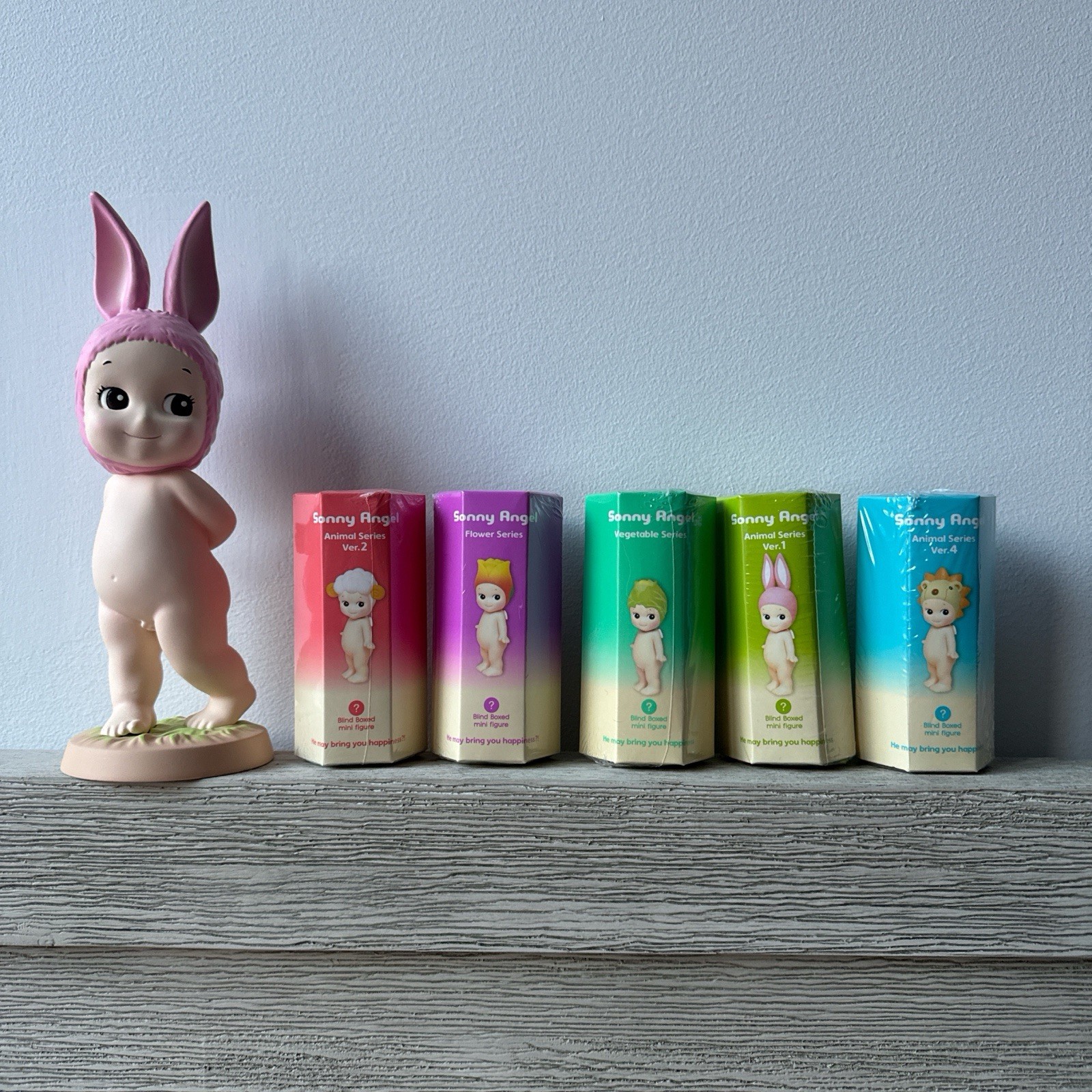 Sonny Angel Set Of 5 Blind Boxes (Authentic)