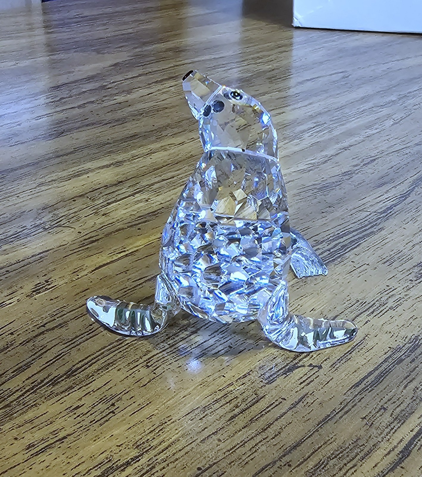 🌊 Swarovski Crystal 2005 “Aquatic Worlds”, Mother Sea Lion Figurine, Amber, NIB