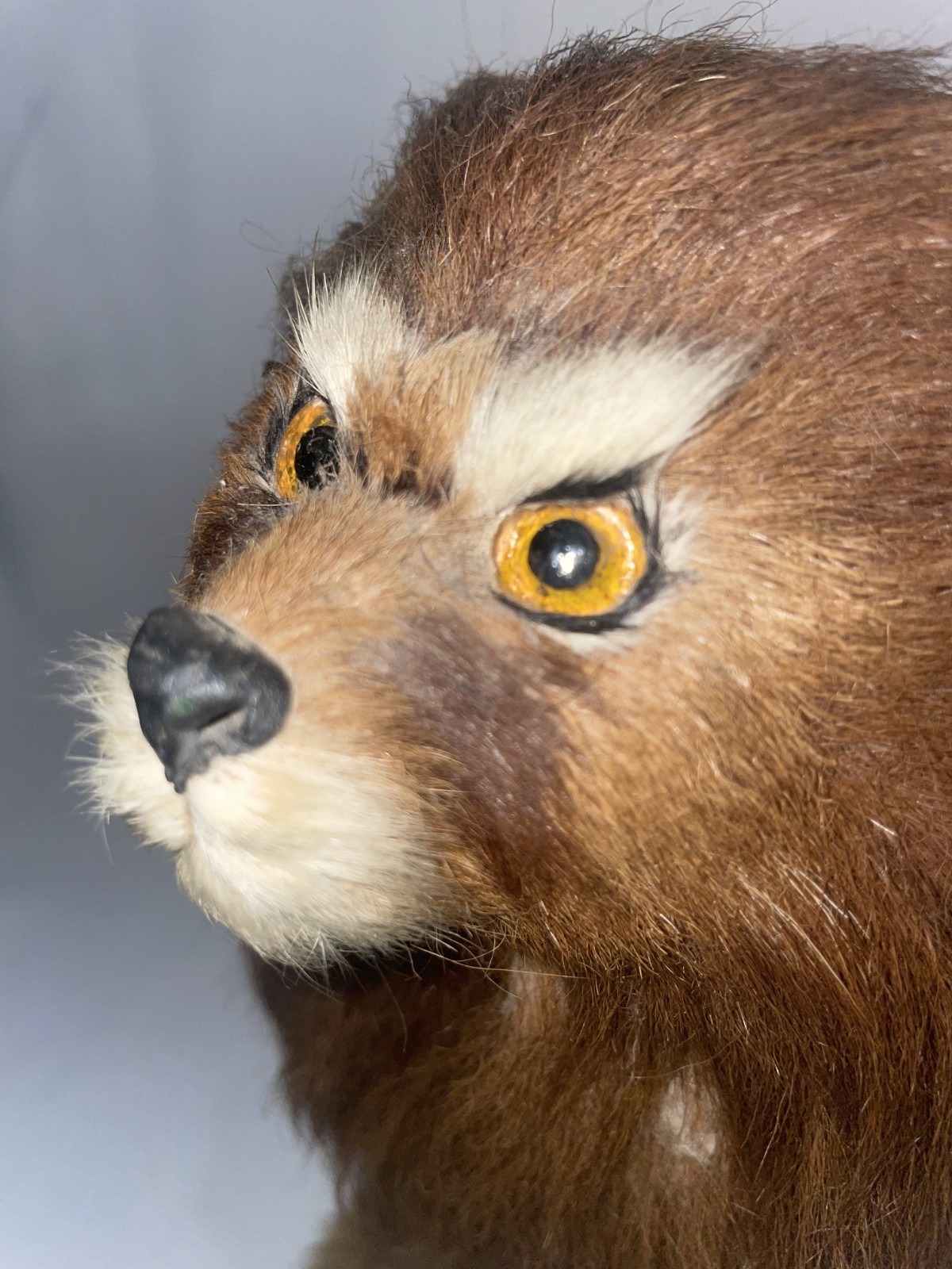 Fur Covered Lion 9 1/2 Inches High Glass Eyes