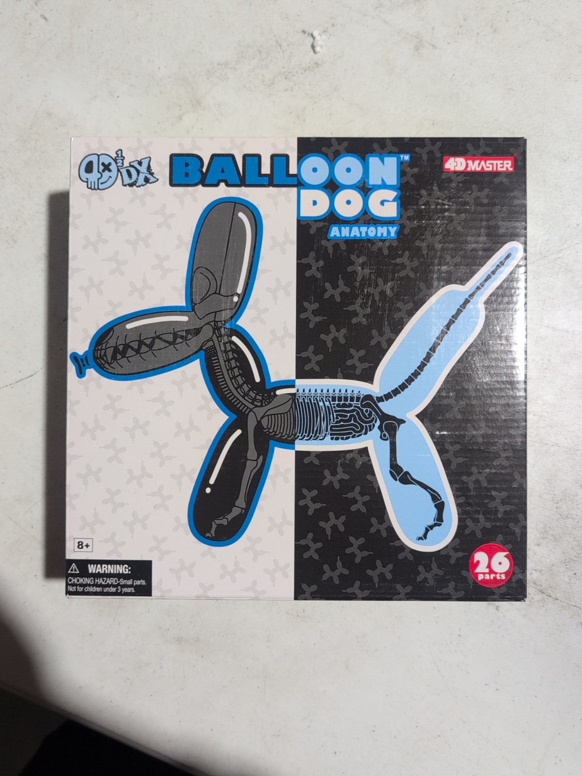 OG Balloon Dog Anatomy