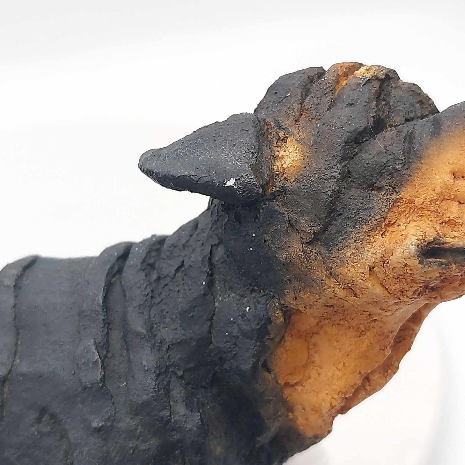 Country Artists 2001 A Breed Apart Rottweiler #70010 Dog Figurine 7.5″
