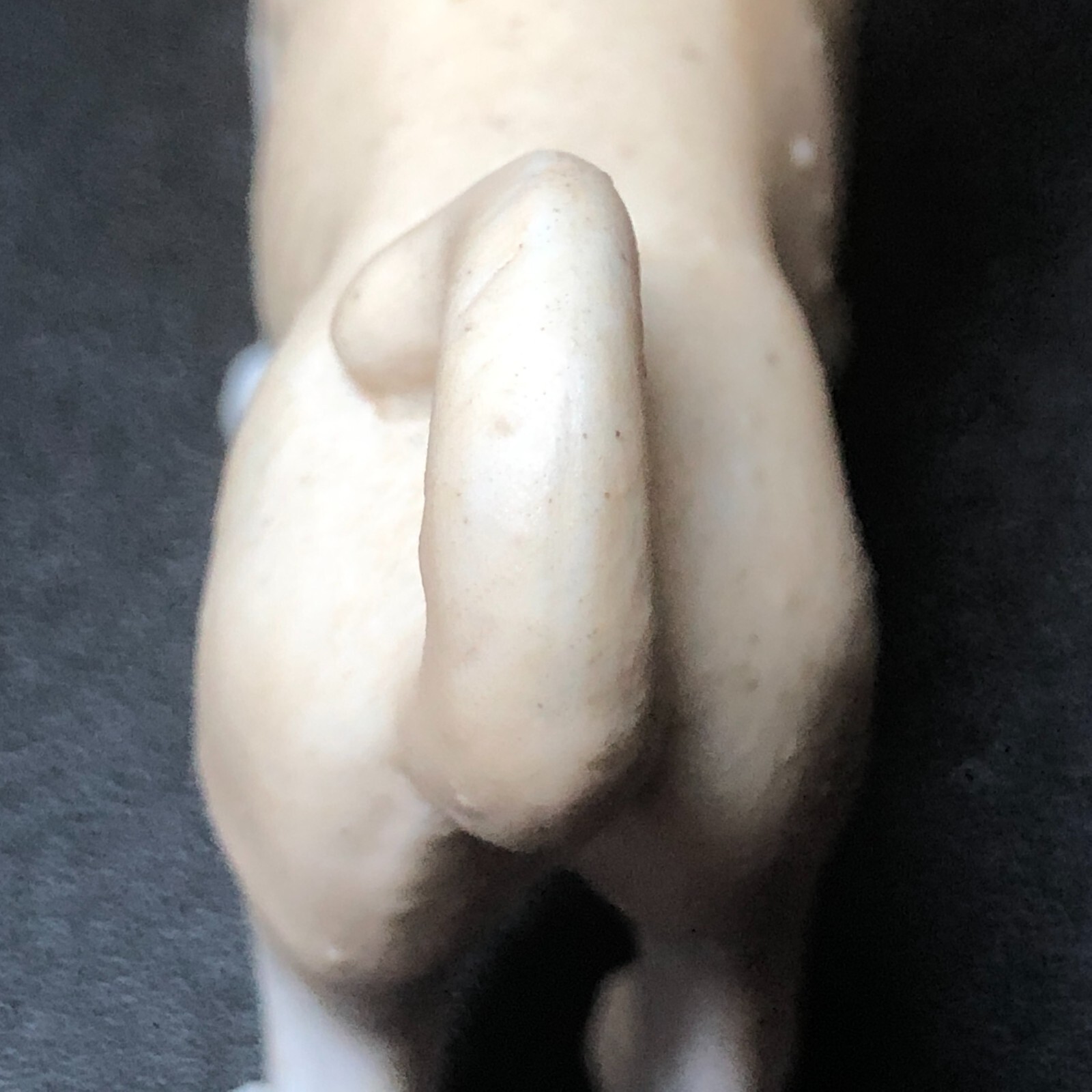 ANTIQUE 1900S PUG DOG Figure Victorian Dollhouse Miniature Bisque Figurine 2.50″