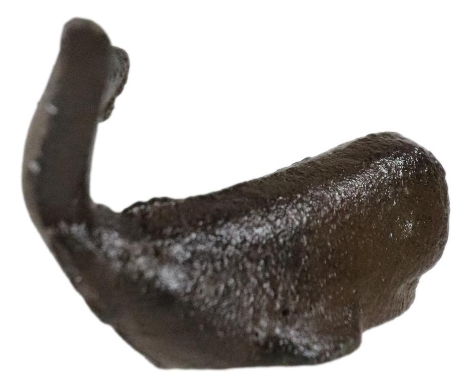 Nautical Marine Rustic Vintage Cast Iron Sperm Whale Decorative Figurine 3″ L