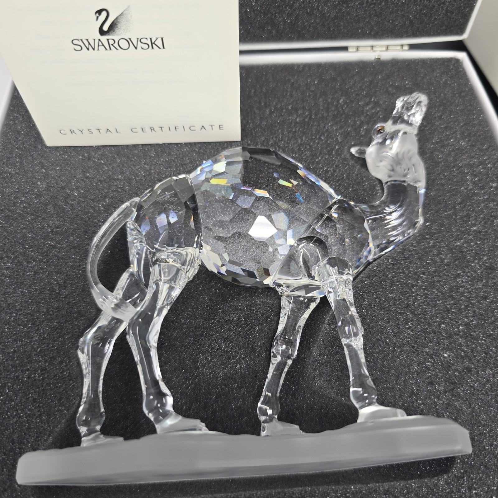 Swarovski Camel 247683 With Box/ COA- Signed by Artist Heinz Tabertshofer