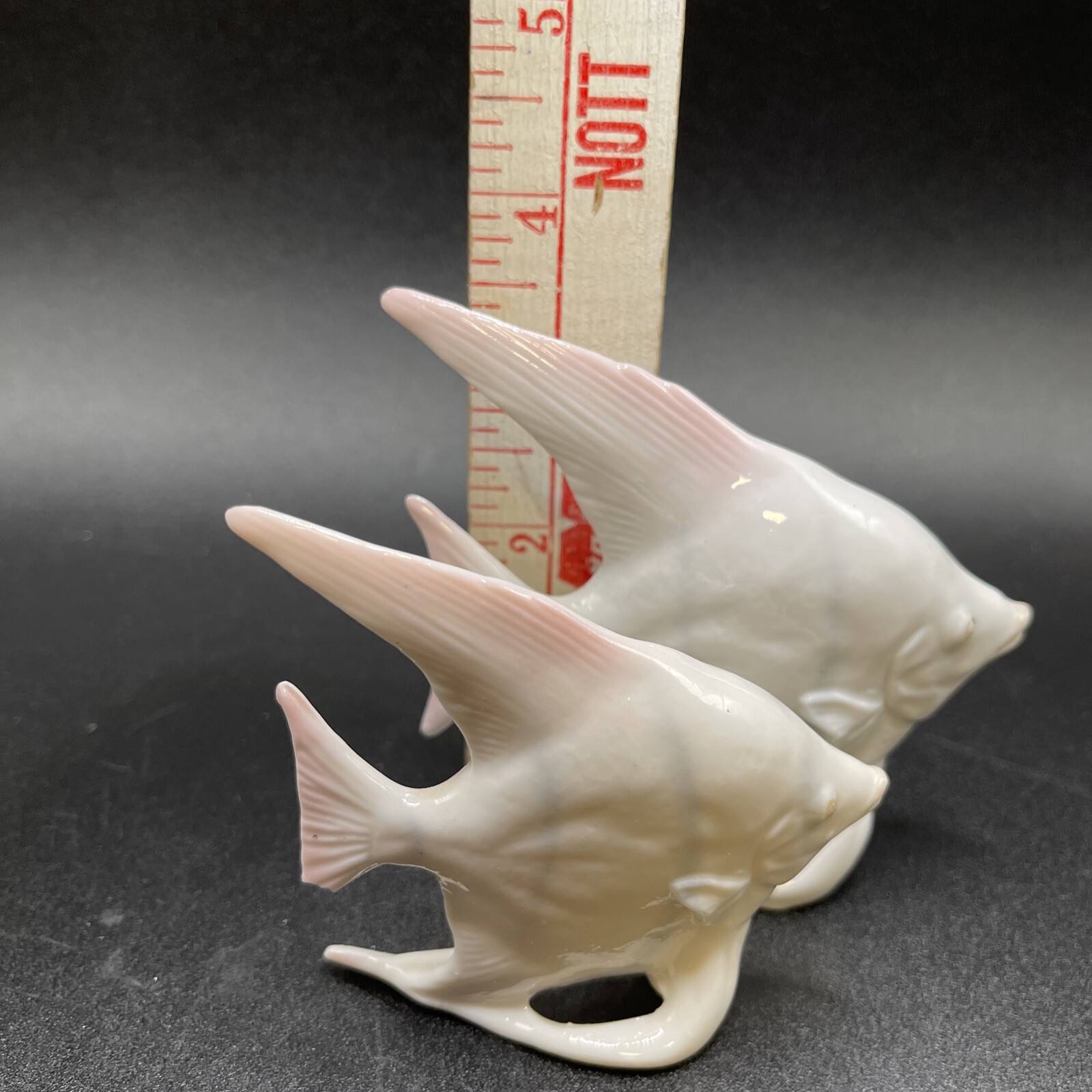 Bone China Angel Fish