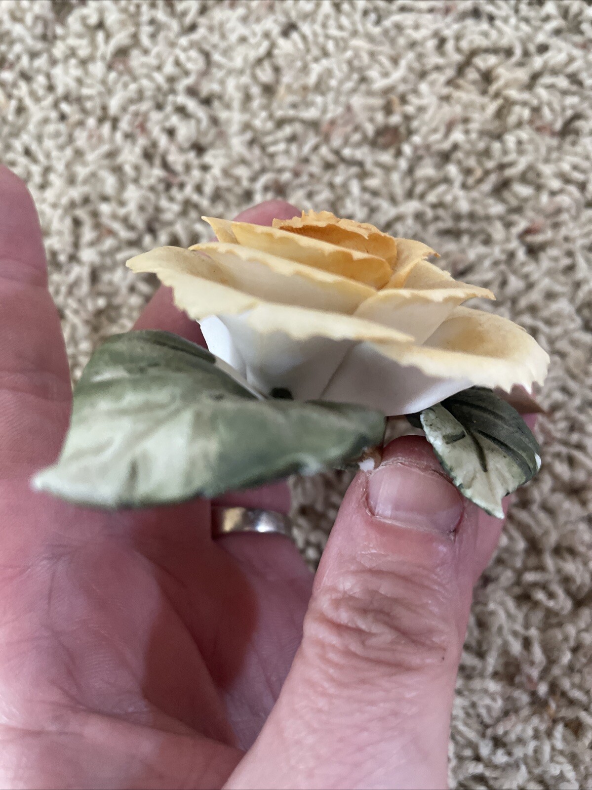 Delicate Possible Porcelain Rose On A Branch With Leaves