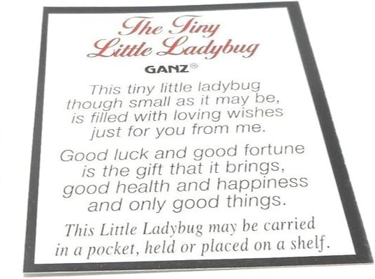 lot 2 Tiny Little Ladybug Glass Charm New Pocket Token