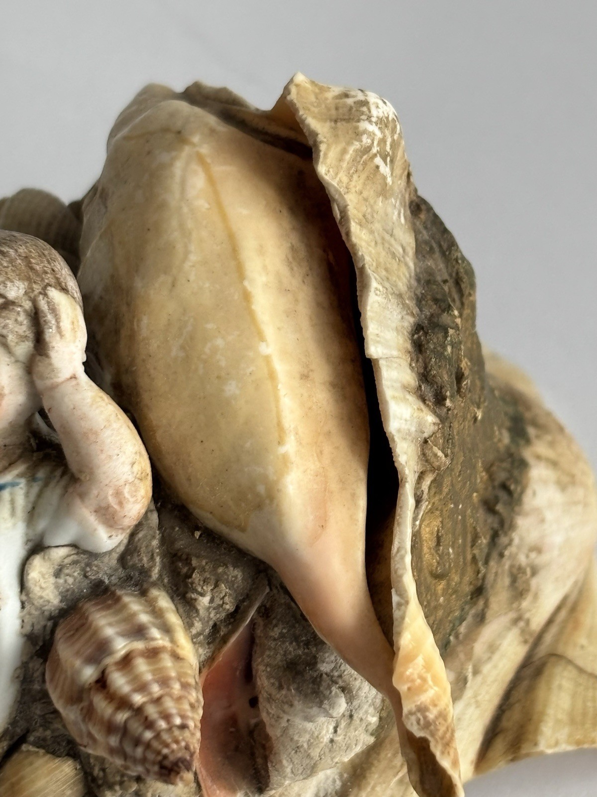 Victorian Antique Seashell Art Porcelain Figurine 1904 Worlds Fair Souvenir