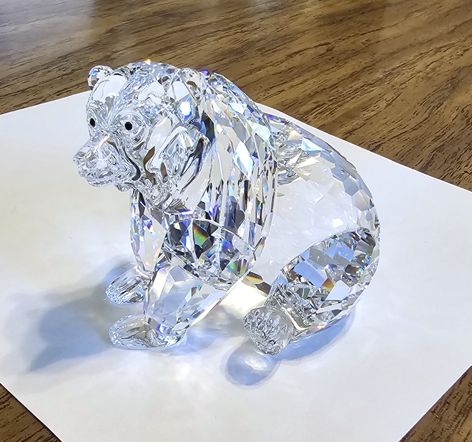 🐻 Swarovski Crystal “Rare Encounters”, LARGE, Adult Grizzly Bear Figurine, Box