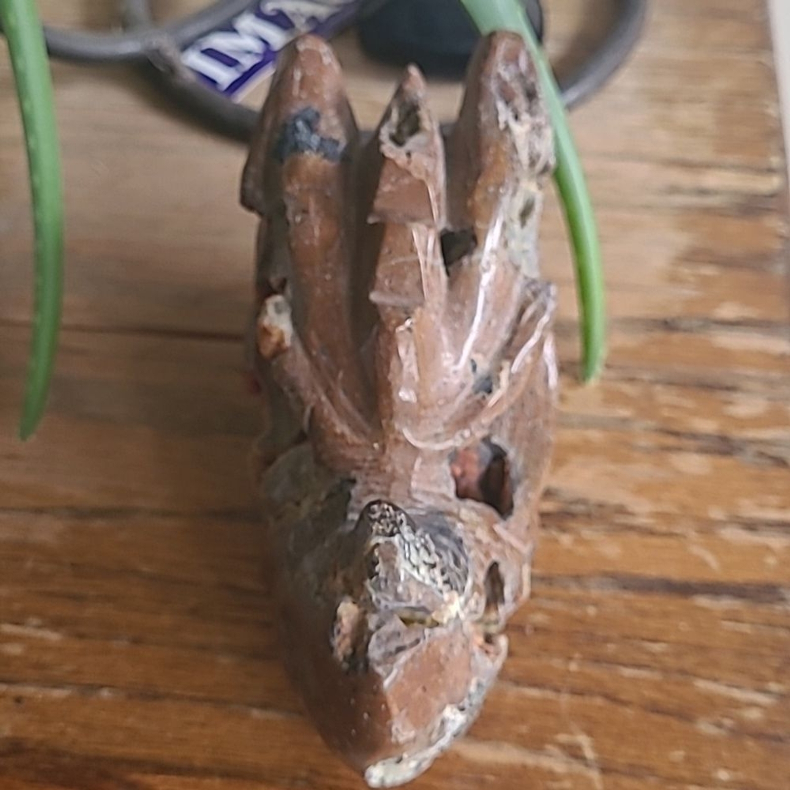 Red Fox Druzy Agate & Jasper Lava Dragon Head