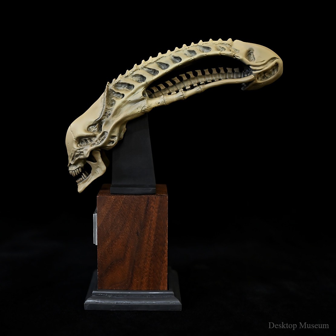 Desktop Museum Alien Skull Model Resin Ornament 15.5cm(H) New In Stock