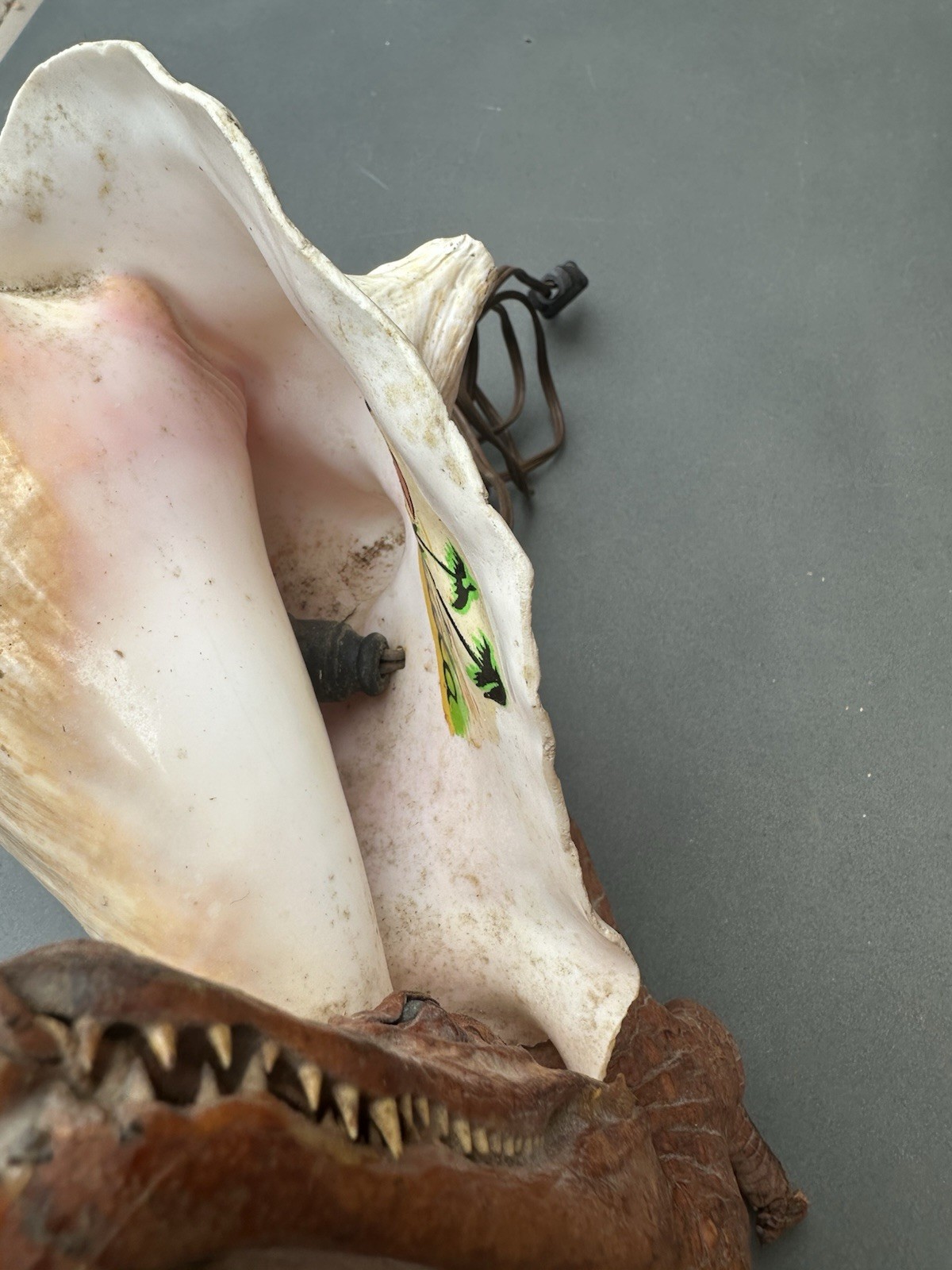 RARE Vintage Decorative Conchshell With Crocodile Or Alligator ( Not Sure Which)