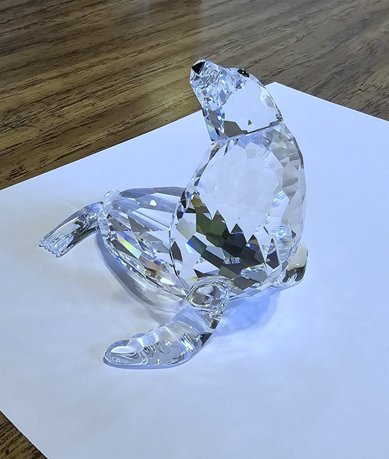 🌊 Swarovski Crystal 2005 “Aquatic Worlds”, Mother Sea Lion Figurine, Amber, NIB