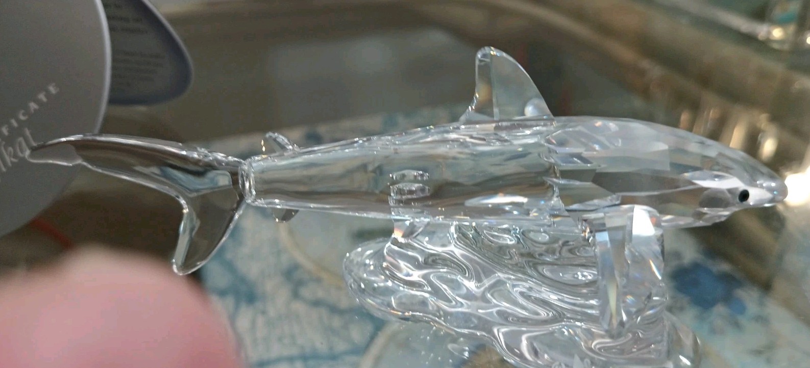 NEW-SWAROVSKI CRYSTAL BABY SHARK FIGURINE #269236 MIB COA South Sea Theme Retird