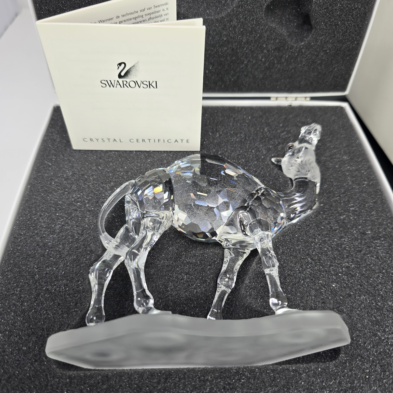 Swarovski Camel 247683 With Box/ COA- Signed by Artist Heinz Tabertshofer