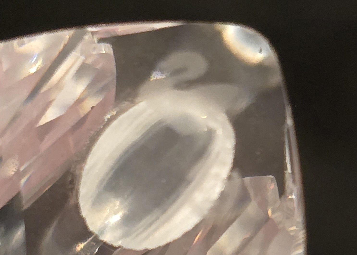 4 SWAROVSKI Beauties of The Lake Crystal Swans