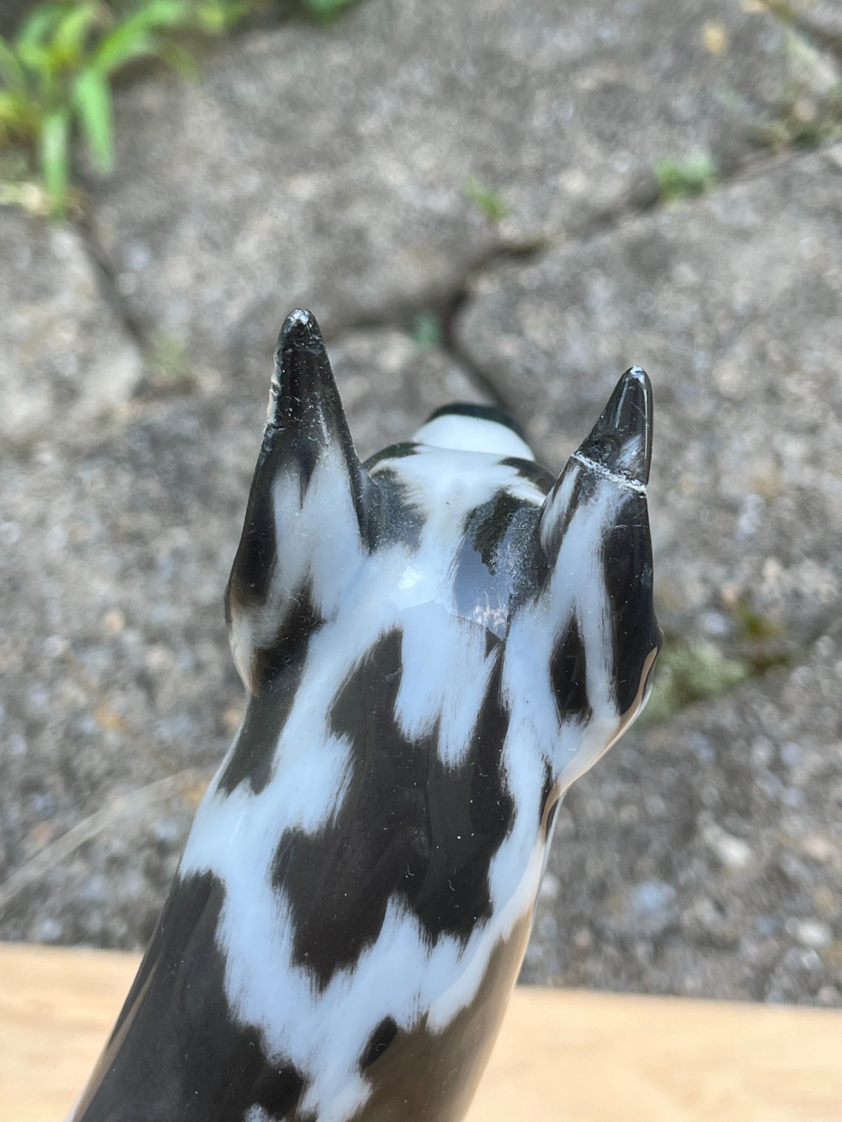 ROSENTHAL GERMANY – Harlequin Spotted Great Dane – 1960’s Hand Painted Porcelain