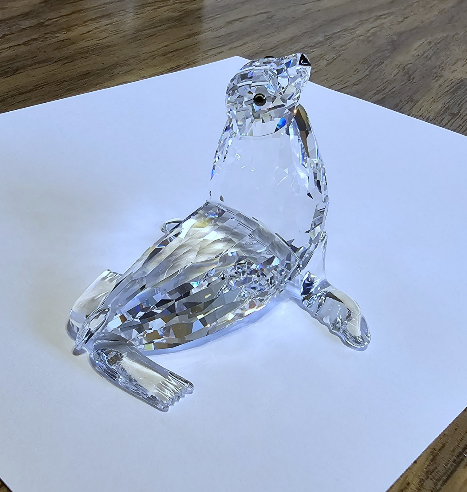 🌊 Swarovski Crystal 2005 “Aquatic Worlds”, Mother Sea Lion Figurine, Amber, NIB