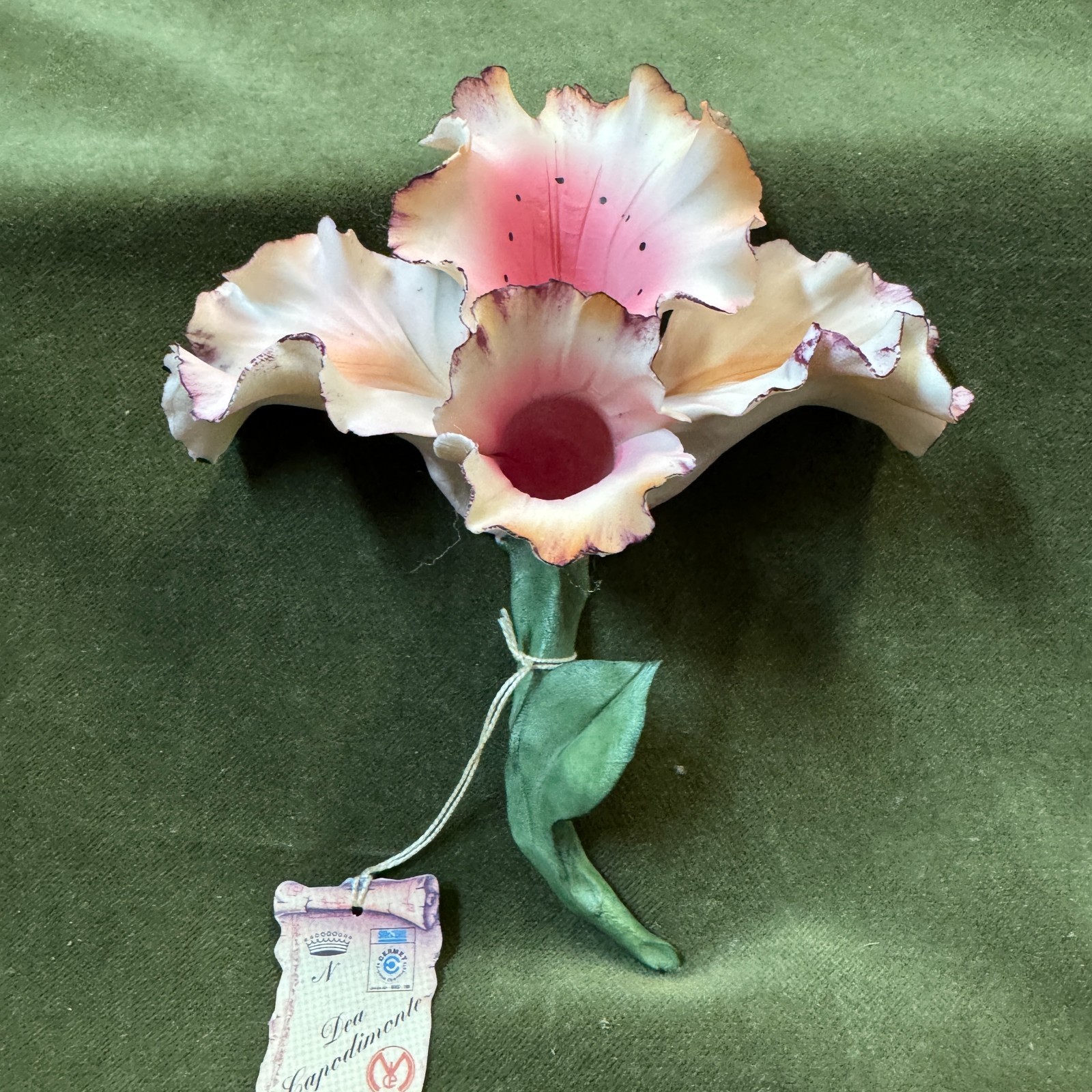 Capodimonte Napoli Italia Dea Capodimonte Porcelain Pink Orchid – NWF #404128