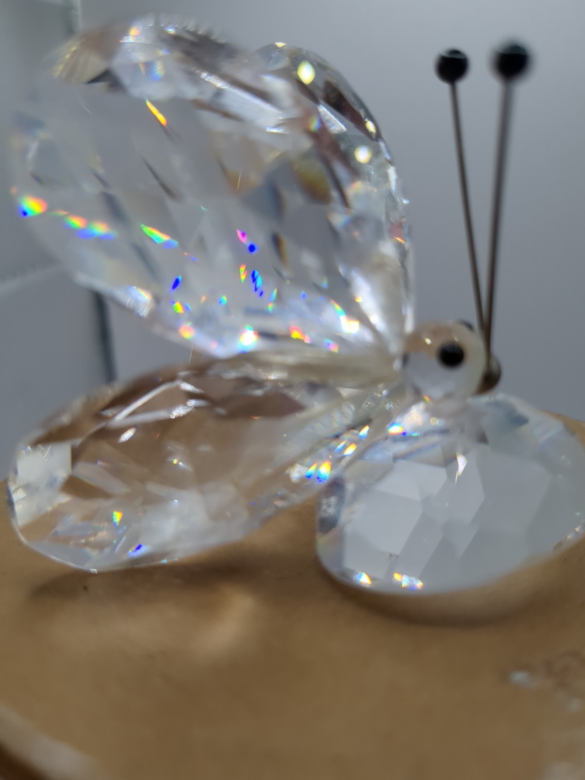 Swarovski Crystal Butterfly Figurine Black Eyes and Antenna Silver Nose READ