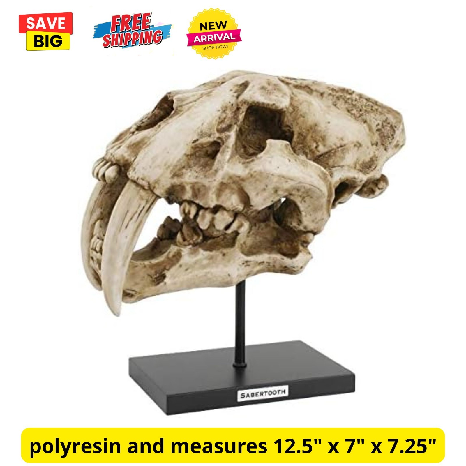 Prehistoric Animal Replica Sabertooth Tiger Cat Fossil Skeleton Skull Sculpture