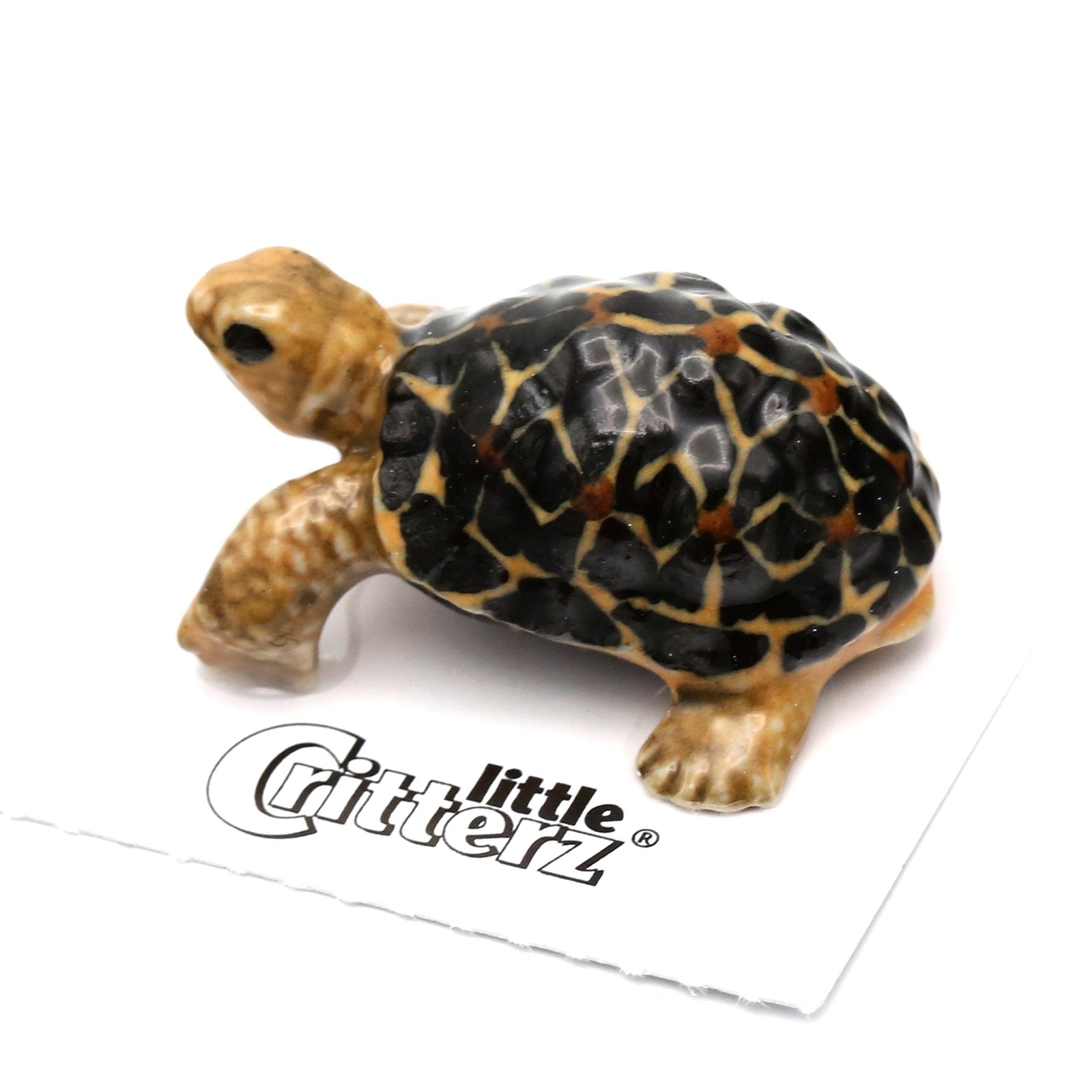 Little Critterz Tortoise Figurine “Star” Reptile – Miniature Porcelain Figurine