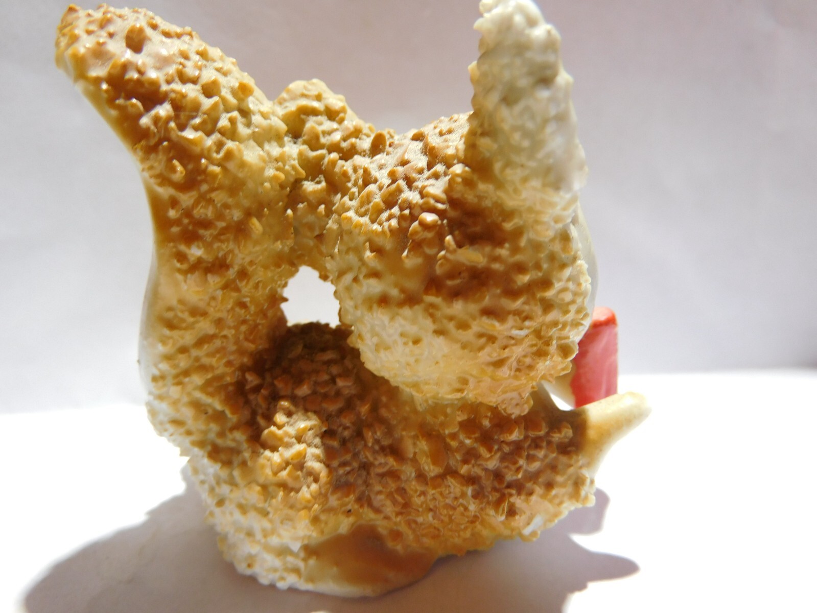Ceramic Squirrel Matte Hand Painted Figurine-Japan