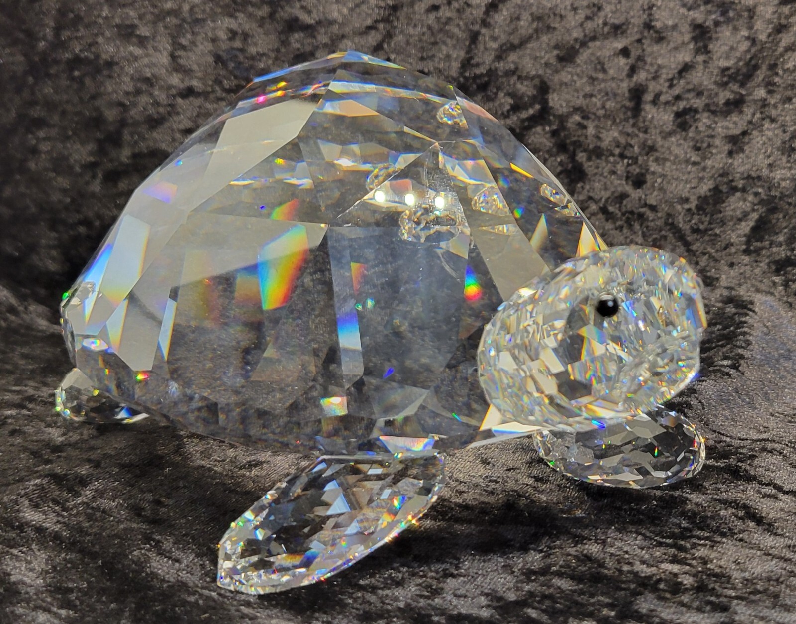 Swarovski Crystal * Giant Turtle/Tortoise * A 7632 NR 240 000 * 010101