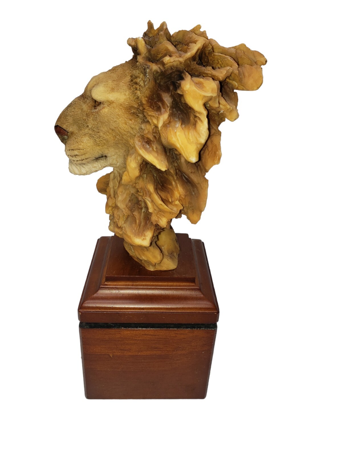Mill Creek Collection Lion Sculpture On Wooden Stand King Of Kings D. Morales