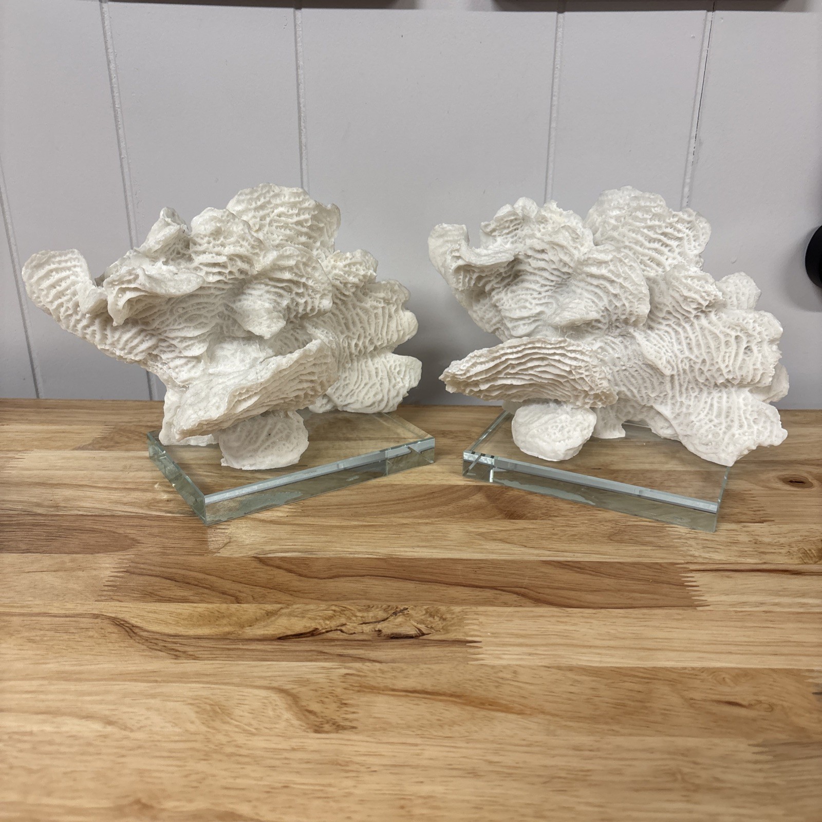 Contemporary Faux Coral Sculptures Bookends Coastal Ocean Reef Vacation Home