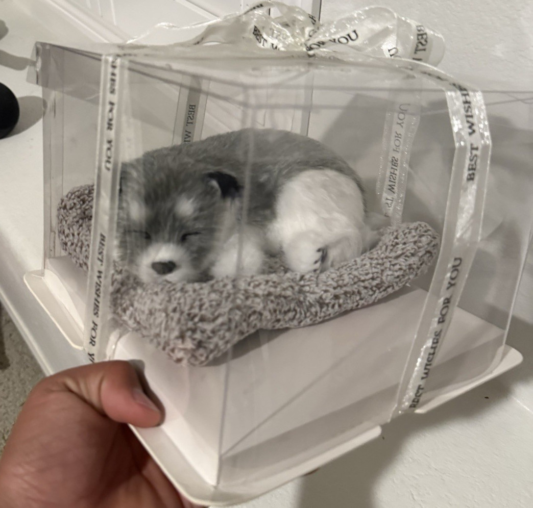 Dog Figurine Gray White Plastic Fabric Boxed Animal Head Display Gift