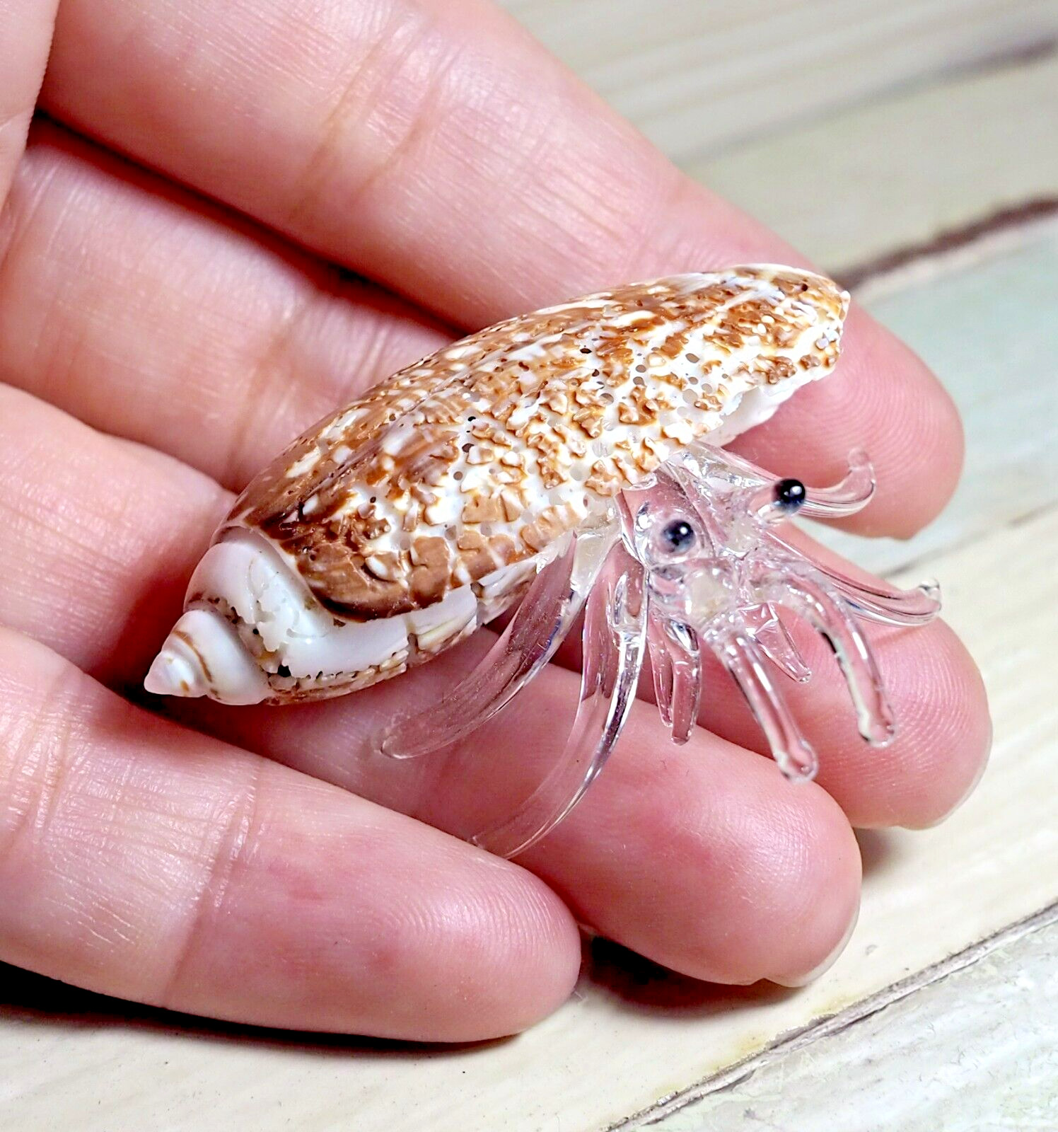 Seashell HERMIT CRAB handmade blown glass figurine Home Decor Gift – Cute
