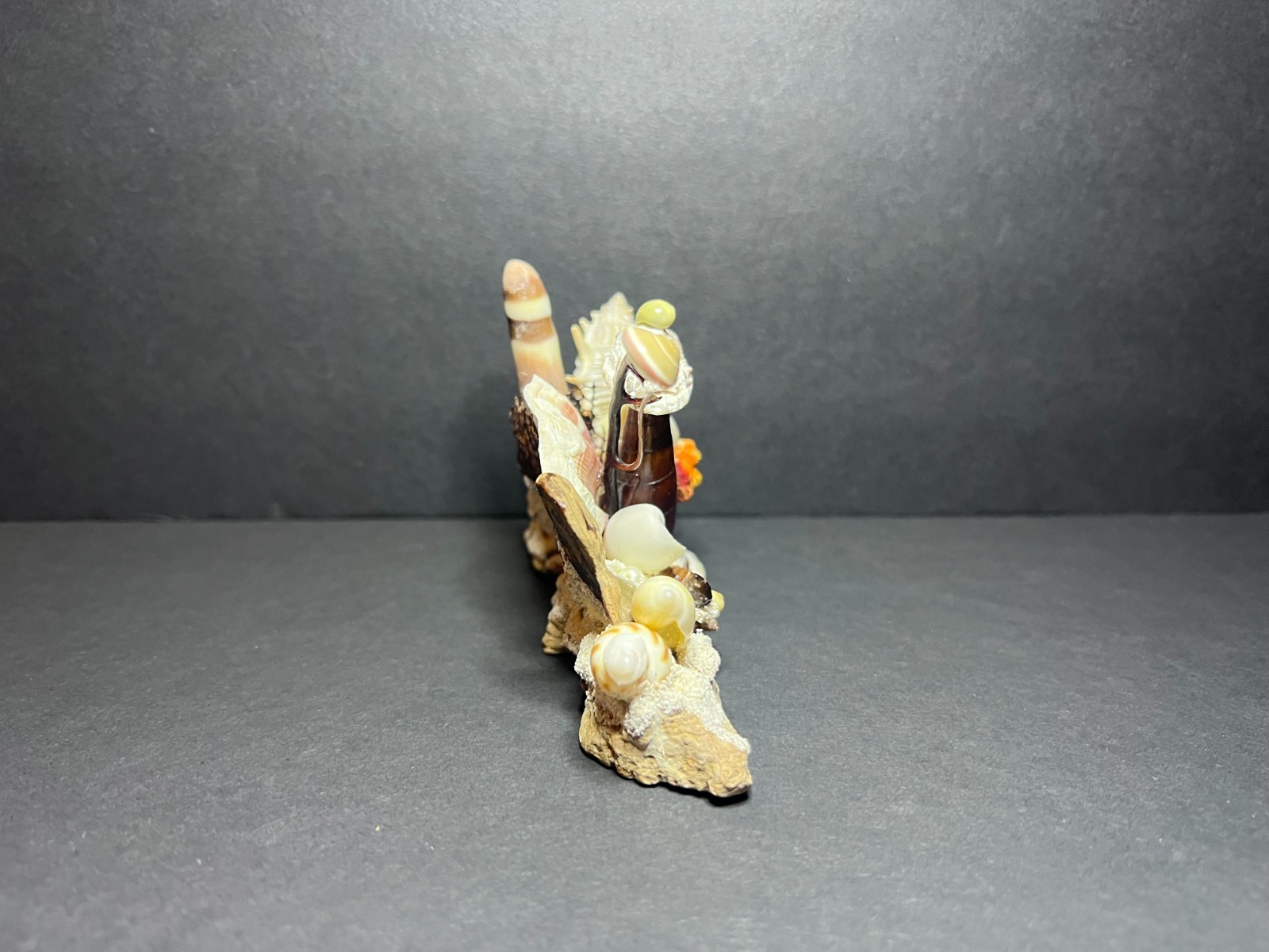 Vintage Decorative Nautical Aquatic Seashell Art Figurine Aruba Souvenir 3 x 5″