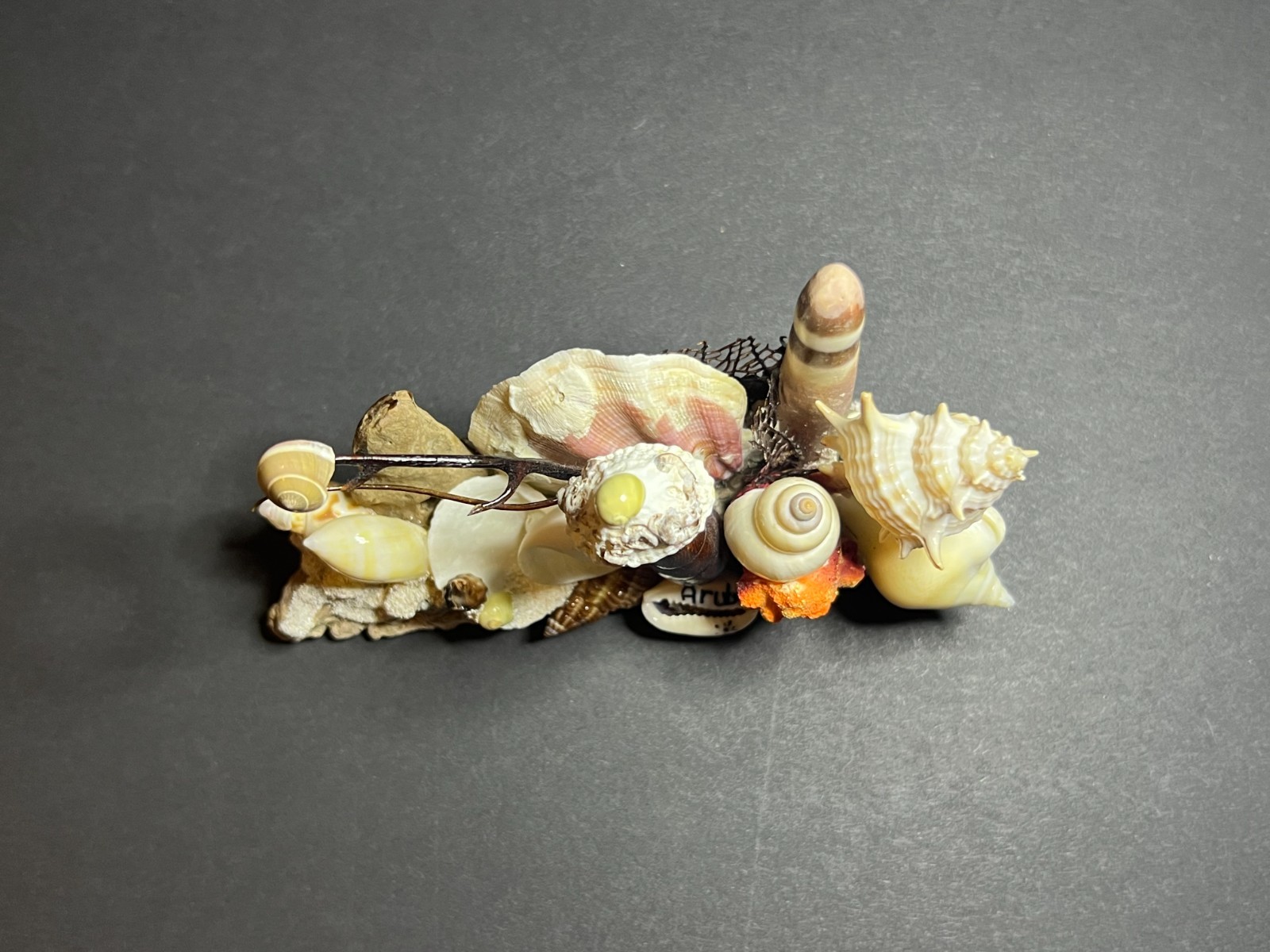 Vintage Decorative Nautical Aquatic Seashell Art Figurine Aruba Souvenir 3 x 5″