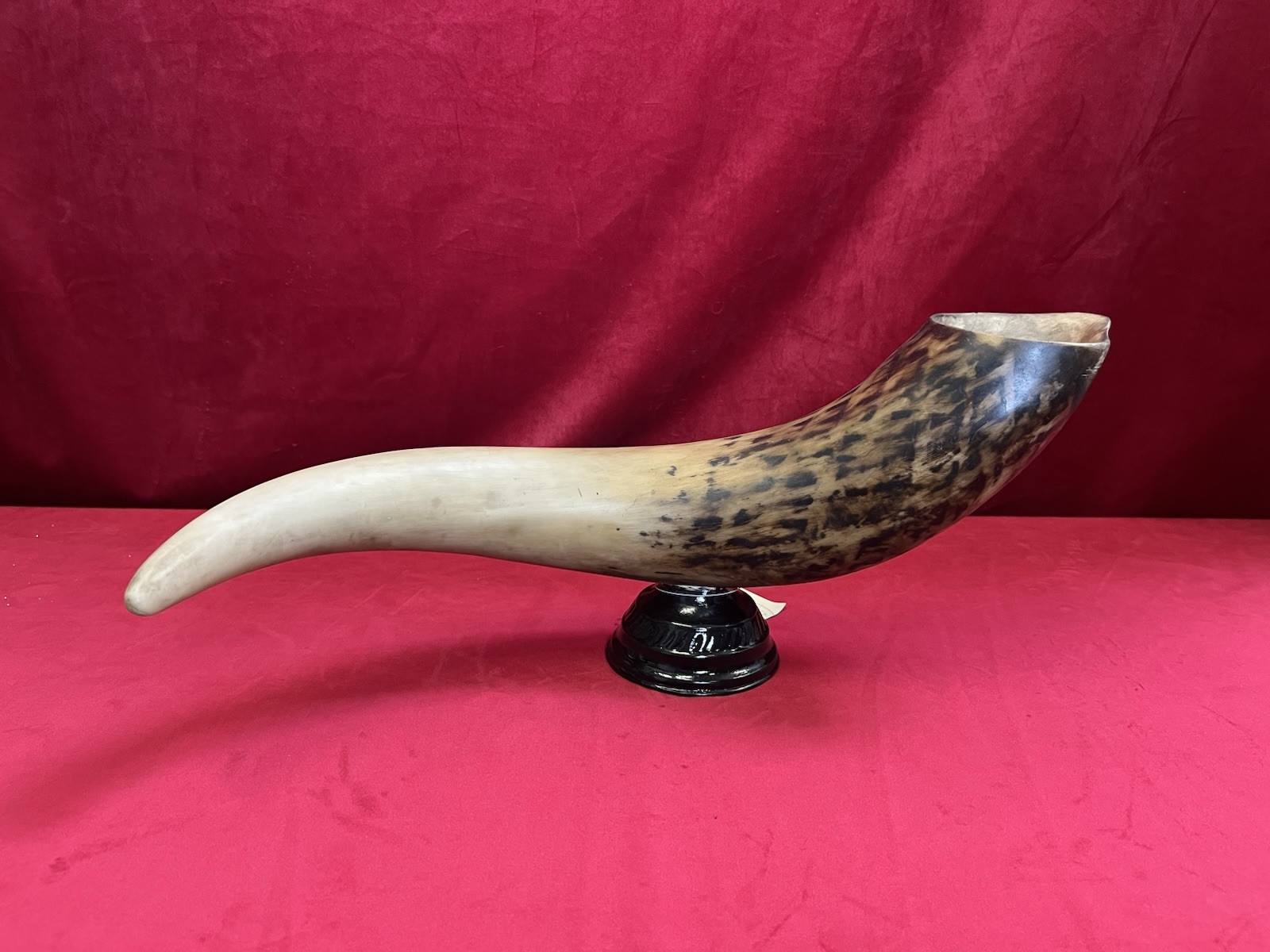 Resin Buffalo, Cow, Rhino, Ram Horn Tabletop Western Decor Authentic Looking.