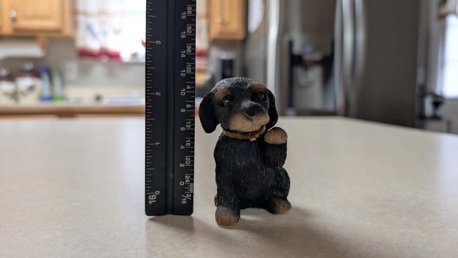 Country Artist Rottweiler Puppy