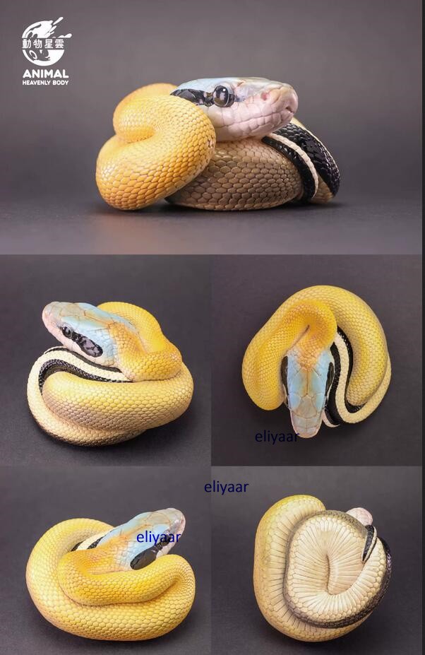 Animal Heavenly Body A Series Of Laugh And Grow Fat Snake 3.0 Resin Model Statue
