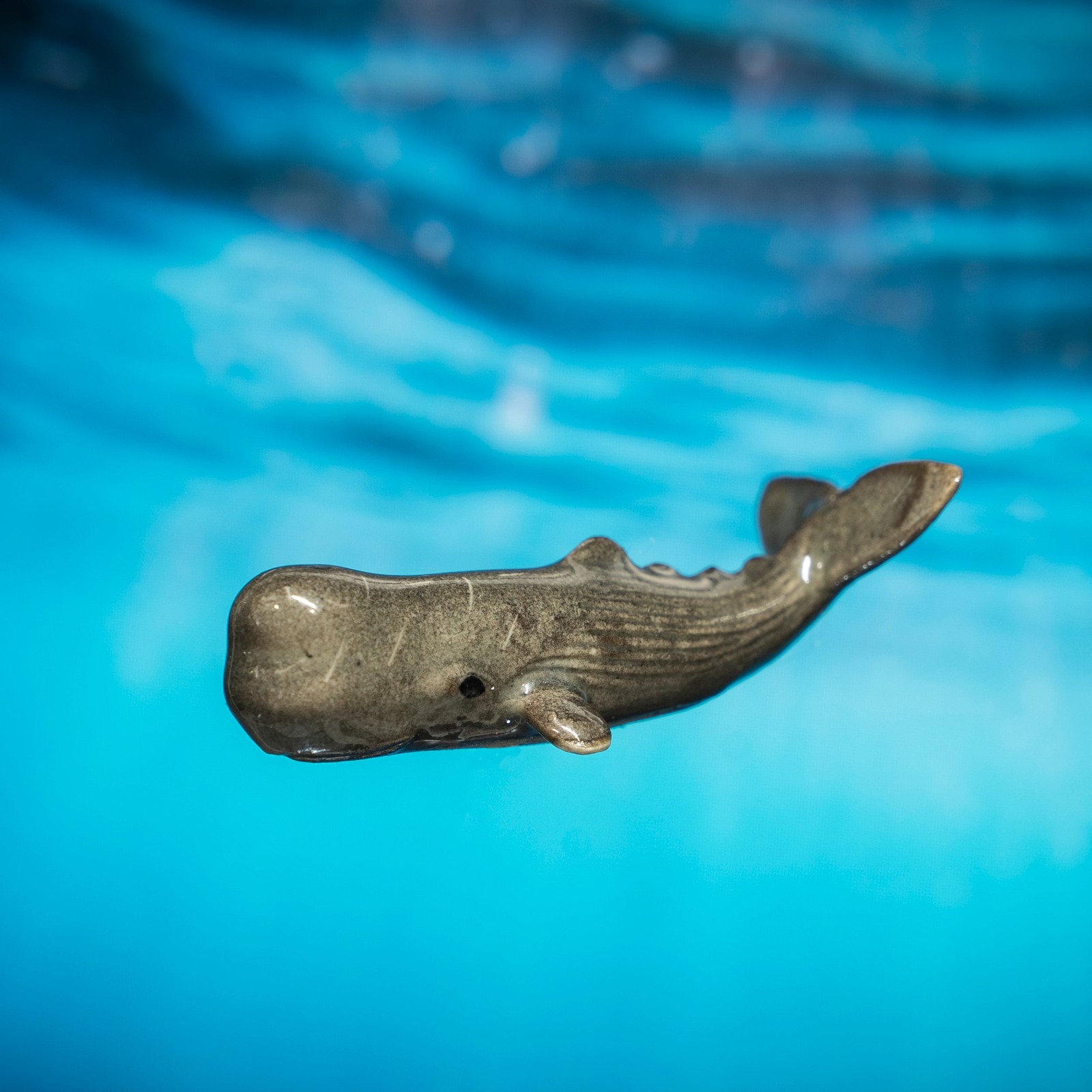 Little Critterz Whale – Sperm Whale “Moby”Fish – Miniature Porcelain Figurine