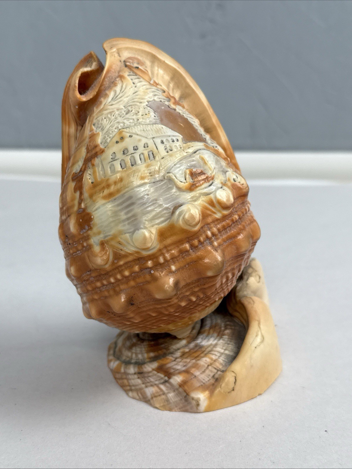 VTG Hand Carved Conch Cameo Seashell Italian Landscape Scene Decor Antique