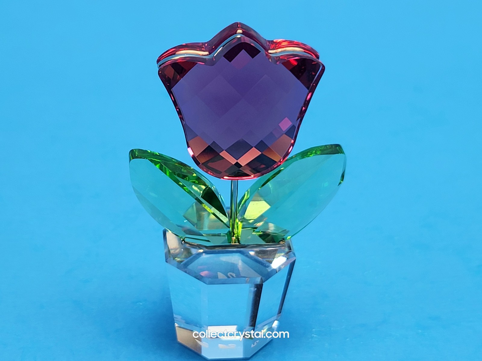 SWAROVSKI PINK TULIP HAPPY FLOWERS DREAMS in clear pot # 657111 MIB small fig