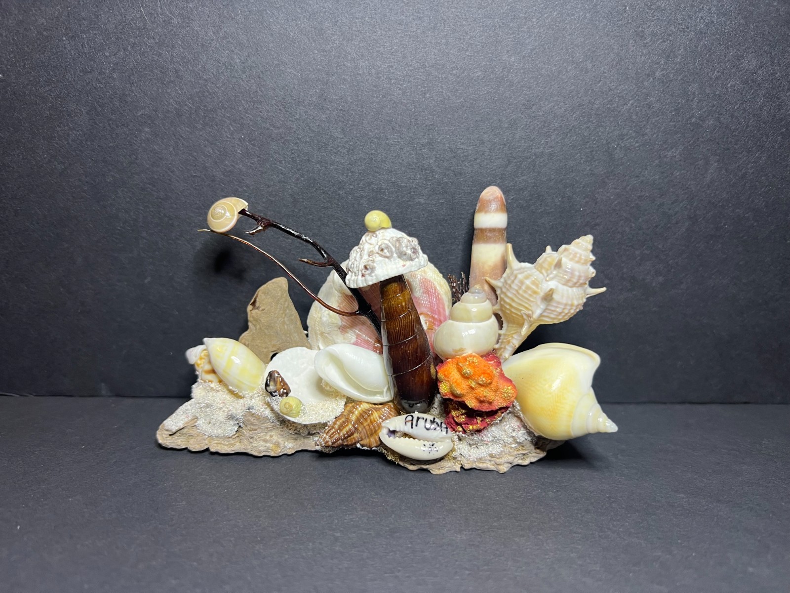 Vintage Decorative Nautical Aquatic Seashell Art Figurine Aruba Souvenir 3 x 5″