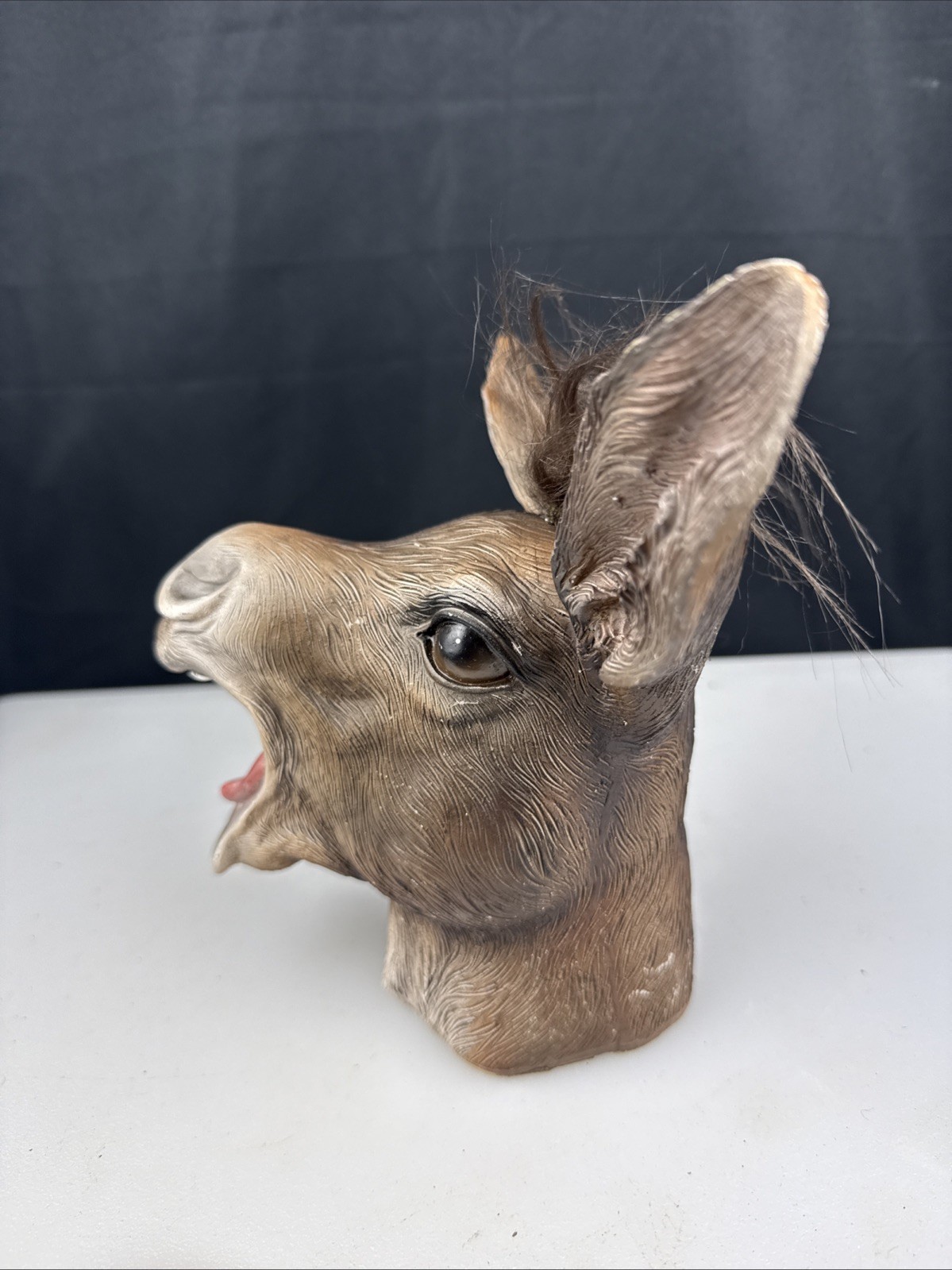 7″ Polyresin Laughing Donkey Mule Ass Head bust Paperweight