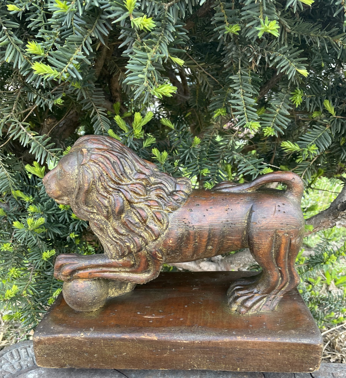 Antique CHAPMAN HAND CARVED GILDED WOOD LION w/BALL Made In Spain 11″ x13″