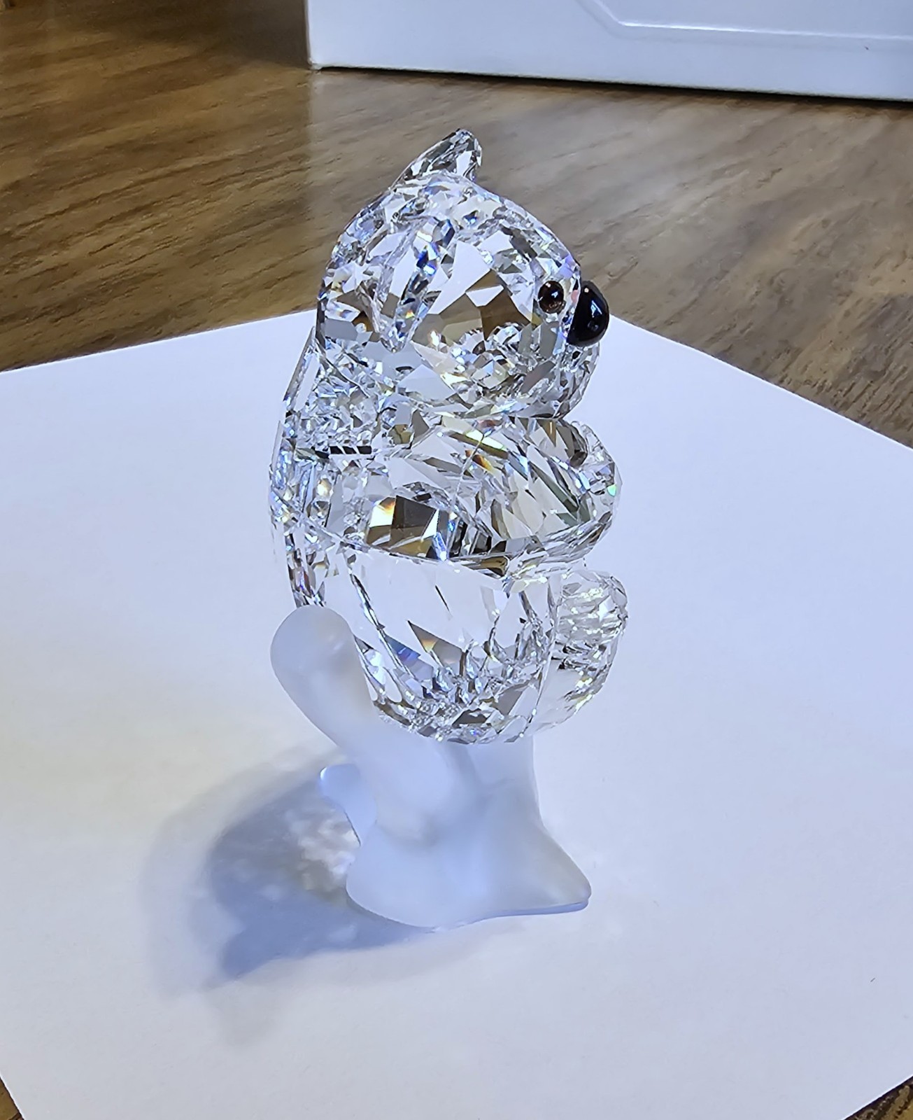 🐨 Swarovski Crystal 2009 Rare Encounters Koala Mother Baby in Tree Figurine NIB